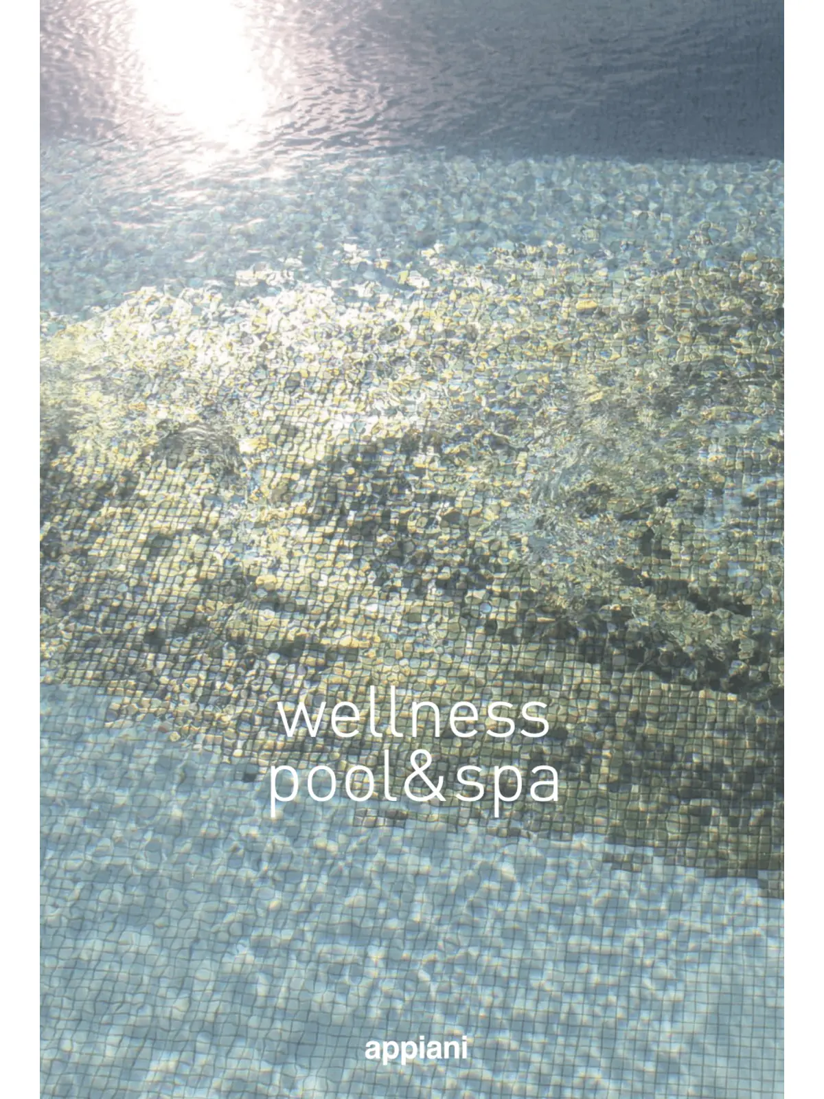 Appiani - Wellness Pool&Spa
