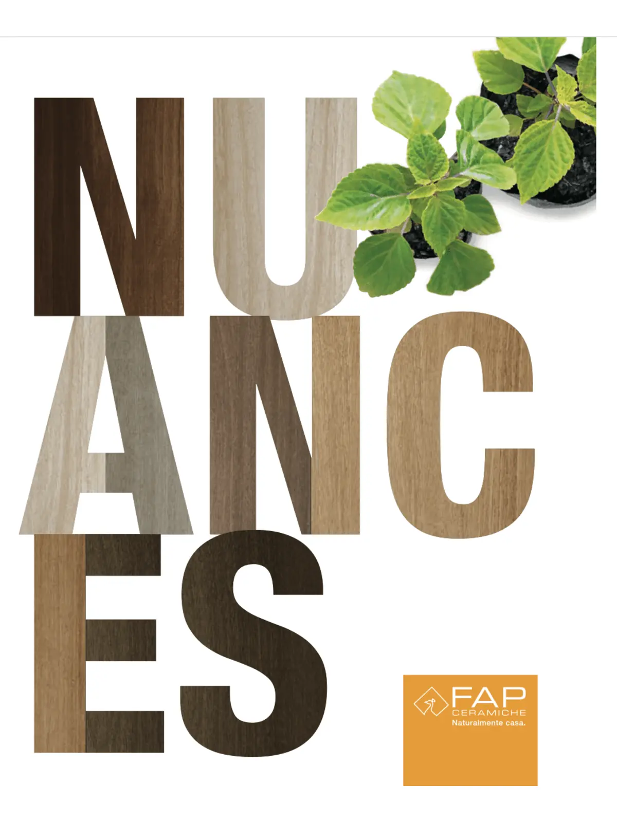 FAP - Nuances